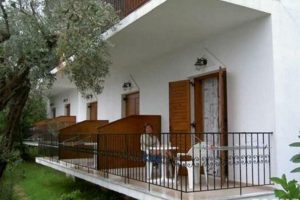 Ekaterini Studio