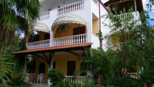 vila-flower-toroni-01